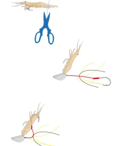EXPLORER TACKLE Tenya Spara