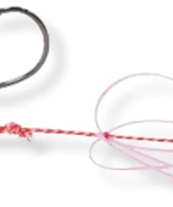 EXPLORER TACKLE Tenya Spara