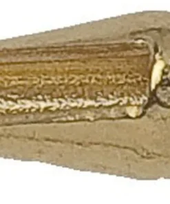 JMC & MOUCHES DE CHARETTE Tungstène Thorax JMC Or