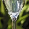 COULEURMER Vaisselle^Verre à vin Bali acrylique x6