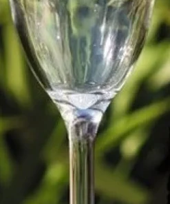 COULEURMER Vaisselle^Verre à vin Bali acrylique x6